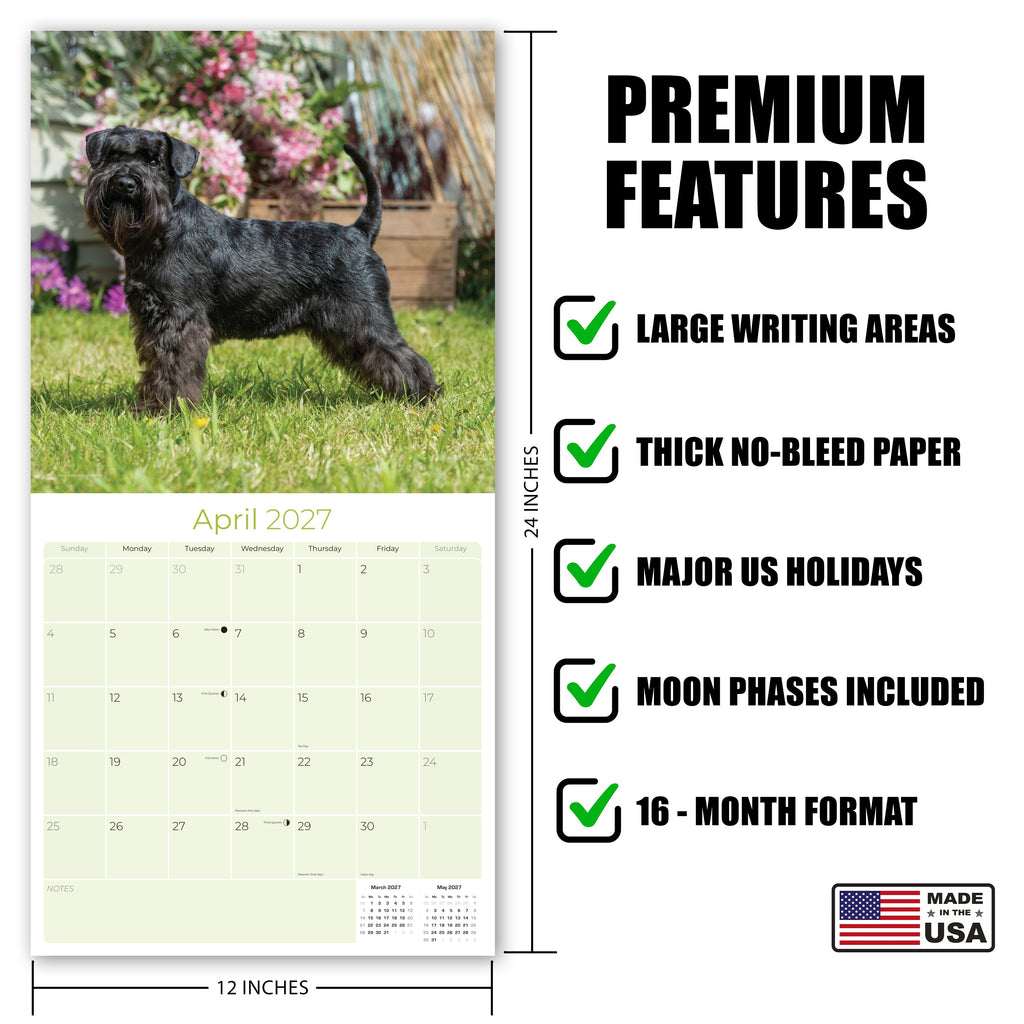 Miniature Schnauzer Wall Calendar 2027 - 12" x 12" Monthly Bearded Terrier & Spirited Small Schnauzer Calendar