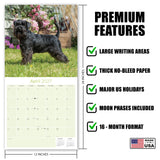Miniature Schnauzer Wall Calendar 2027 - 12" x 12" Monthly Bearded Terrier & Spirited Small Schnauzer Calendar