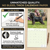 Miniature Schnauzer Wall Calendar 2027 - 12" x 12" Monthly Bearded Terrier & Spirited Small Schnauzer Calendar