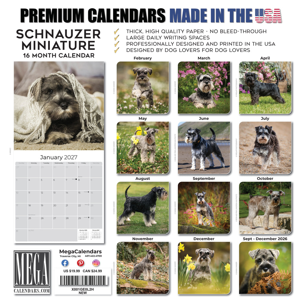 Miniature Schnauzer Wall Calendar 2027 - 12" x 12" Monthly Bearded Terrier & Spirited Small Schnauzer Calendar