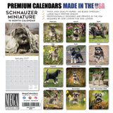 Miniature Schnauzer Wall Calendar 2027 - 12" x 12" Monthly Bearded Terrier & Spirited Small Schnauzer Calendar