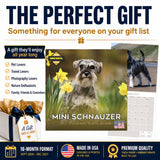 Miniature Schnauzer Wall Calendar 2027 - 12" x 12" Monthly Bearded Terrier & Spirited Small Schnauzer Calendar