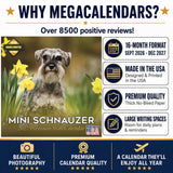 Miniature Schnauzer Wall Calendar 2027 - 12" x 12" Monthly Bearded Terrier & Spirited Small Schnauzer Calendar