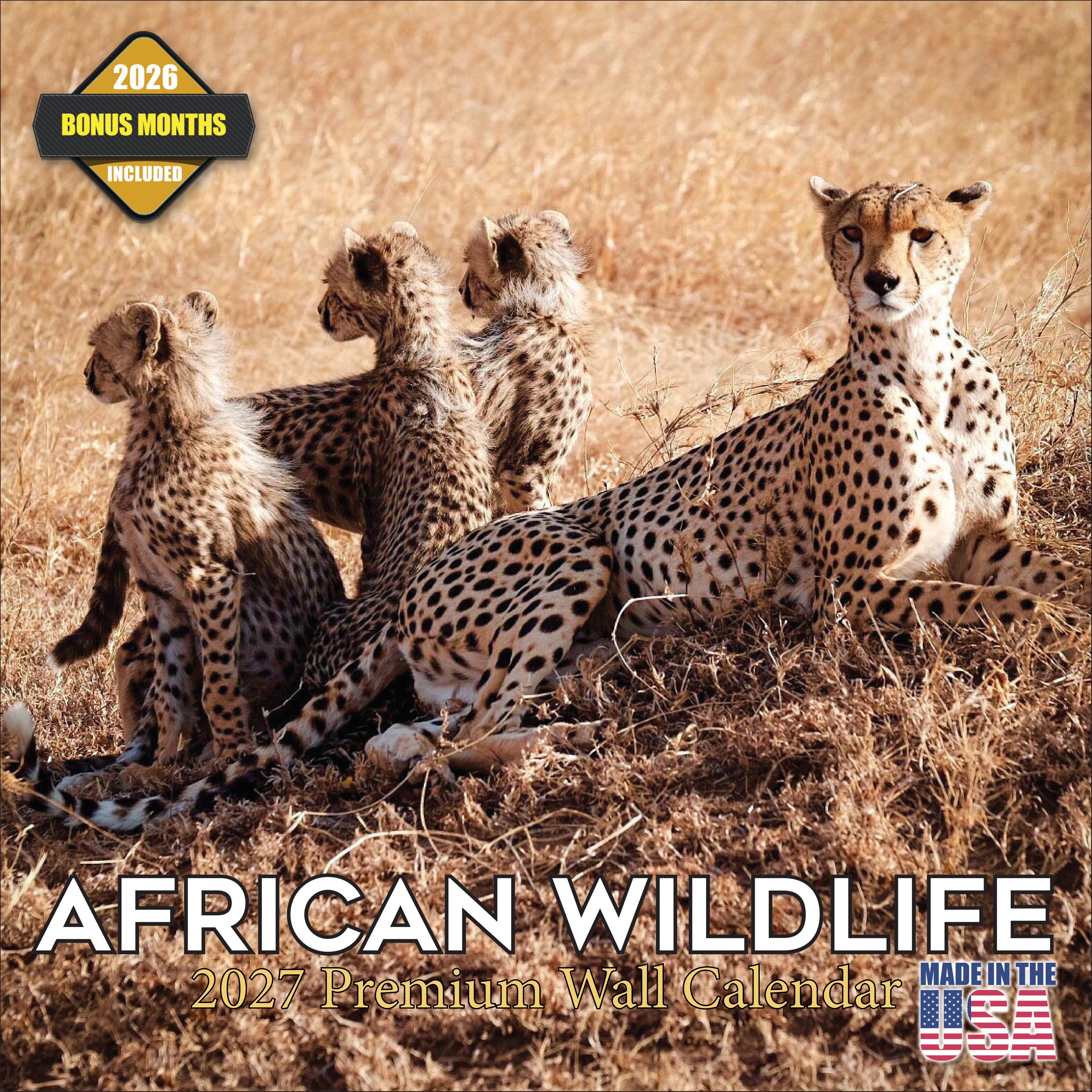African Wildlife Wall Calendar 2027 - 12