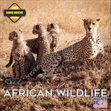 African Wildlife Wall Calendar 2027 - 12" x 12" Monthly Safari & Great Migration Photography Calendar