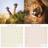 African Wildlife Wall Calendar 2027 - 12" x 12" Monthly Safari & Great Migration Photography Calendar