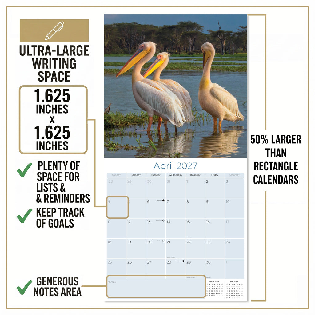 African Wildlife Wall Calendar 2027 - 12" x 12" Monthly Safari & Great Migration Photography Calendar