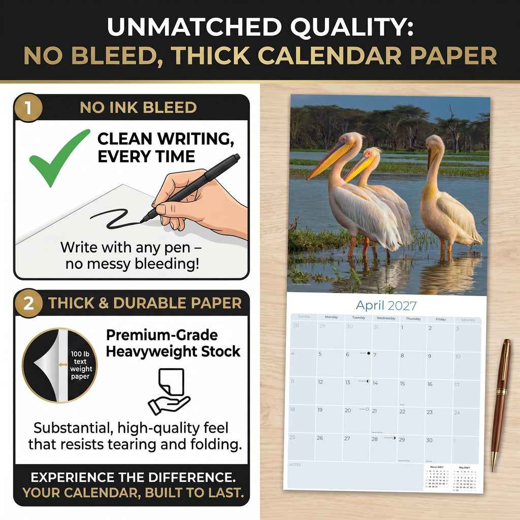 African Wildlife Wall Calendar 2027 - 12" x 12" Monthly Safari & Great Migration Photography Calendar