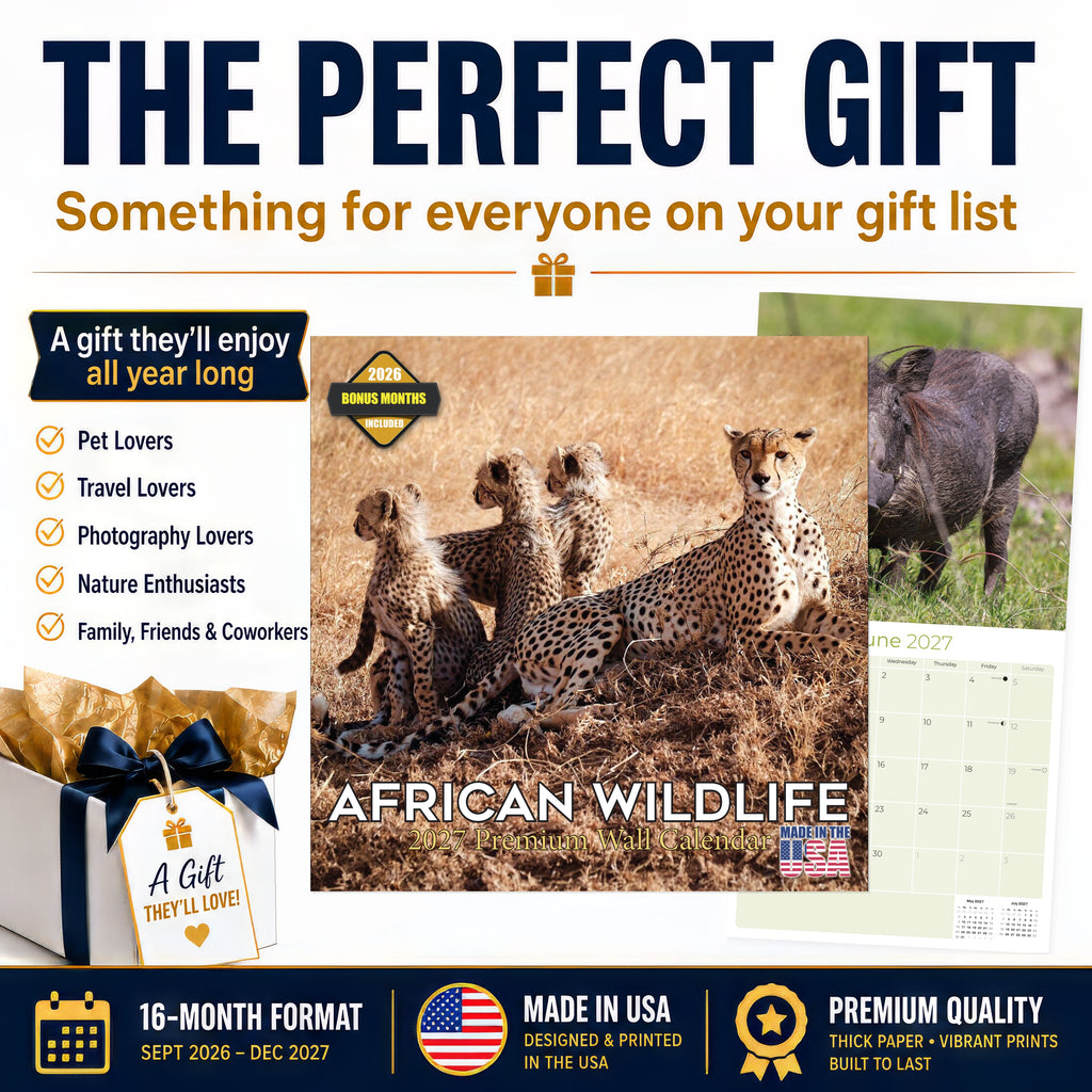 African Wildlife Wall Calendar 2027 - 12" x 12" Monthly Safari & Great Migration Photography Calendar