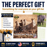 African Wildlife Wall Calendar 2027 - 12" x 12" Monthly Safari & Great Migration Photography Calendar