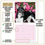Rat Terrier Wall Calendar 2027 - 12" x 12" Monthly Alert & Energetic American Terrier Breed Calendar