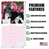 Rat Terrier Wall Calendar 2027 - 12" x 12" Monthly Alert & Energetic American Terrier Breed Calendar