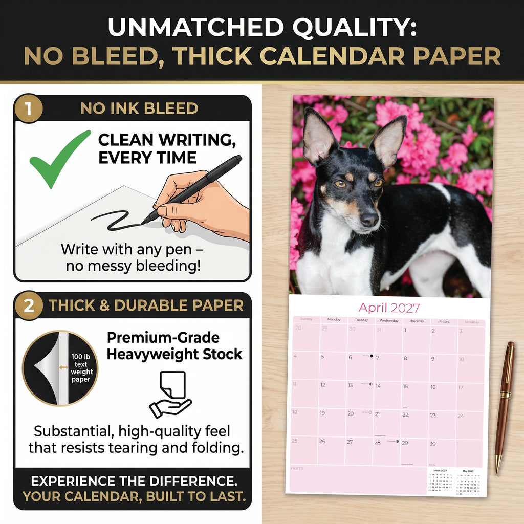 Rat Terrier Wall Calendar 2027 - 12" x 12" Monthly Alert & Energetic American Terrier Breed Calendar