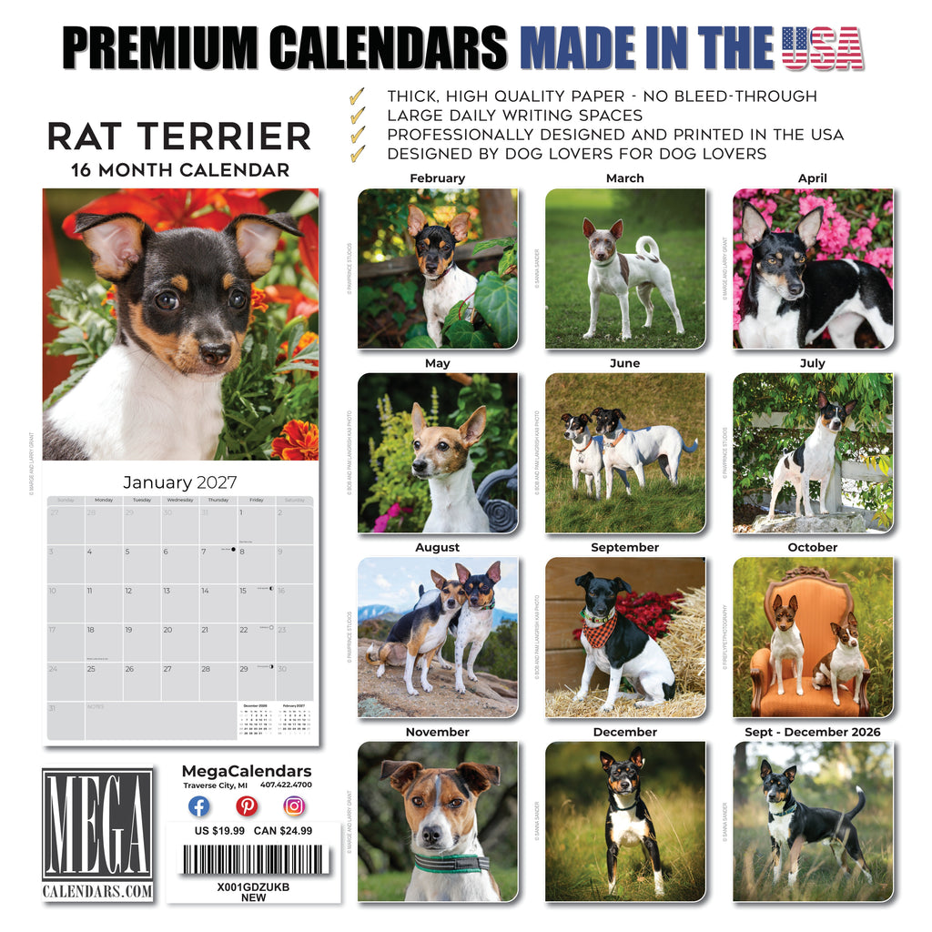 Rat Terrier Wall Calendar 2027 - 12" x 12" Monthly Alert & Energetic American Terrier Breed Calendar