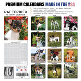 Rat Terrier Wall Calendar 2027 - 12" x 12" Monthly Alert & Energetic American Terrier Breed Calendar