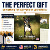 Rat Terrier Wall Calendar 2027 - 12" x 12" Monthly Alert & Energetic American Terrier Breed Calendar