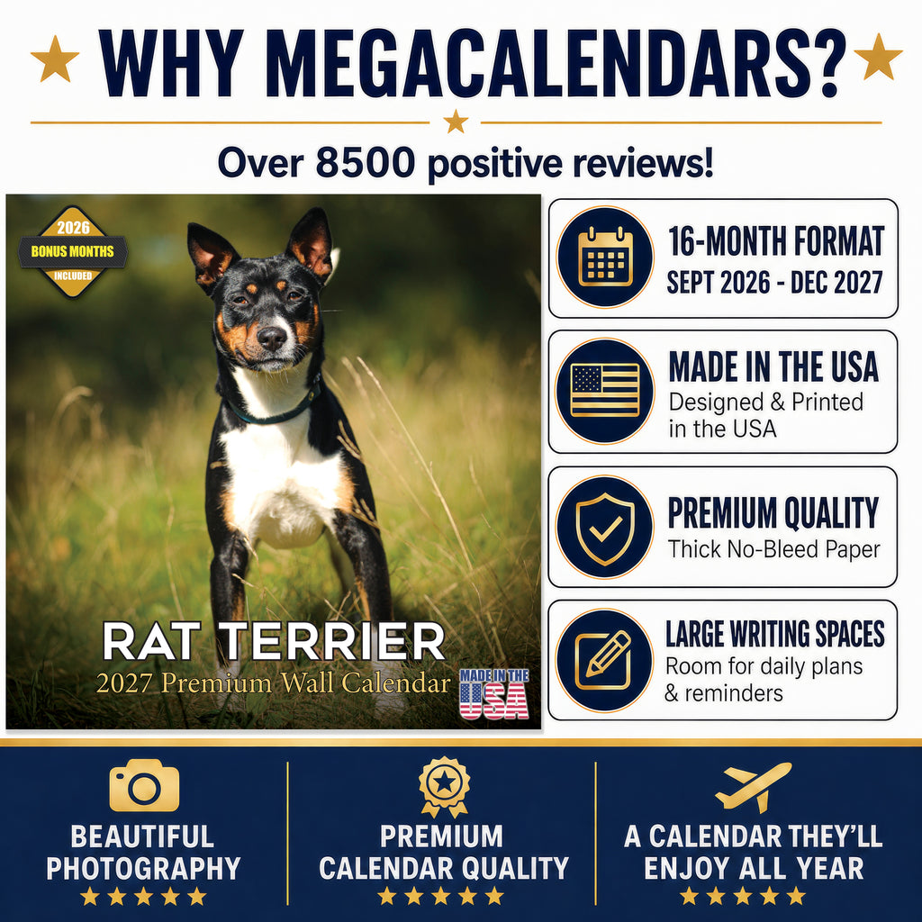 Rat Terrier Wall Calendar 2027 - 12" x 12" Monthly Alert & Energetic American Terrier Breed Calendar
