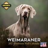 Weimaraner Wall Calendar 2027 - 12" x 12" Monthly Graceful & Athletic Grey Ghost Dog Breed Calendar