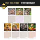 Weimaraner Wall Calendar 2027 - 12" x 12" Monthly Graceful & Athletic Grey Ghost Dog Breed Calendar