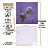 Weimaraner Wall Calendar 2027 - 12" x 12" Monthly Graceful & Athletic Grey Ghost Dog Breed Calendar