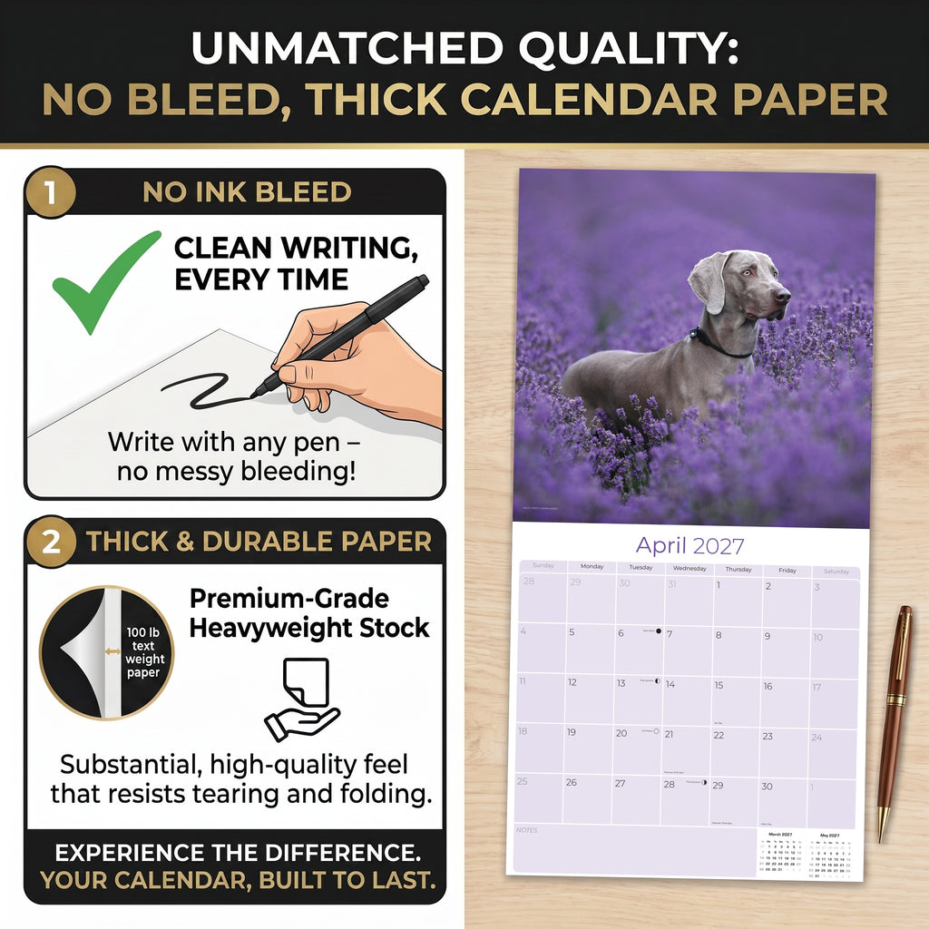 Weimaraner Wall Calendar 2027 - 12" x 12" Monthly Graceful & Athletic Grey Ghost Dog Breed Calendar