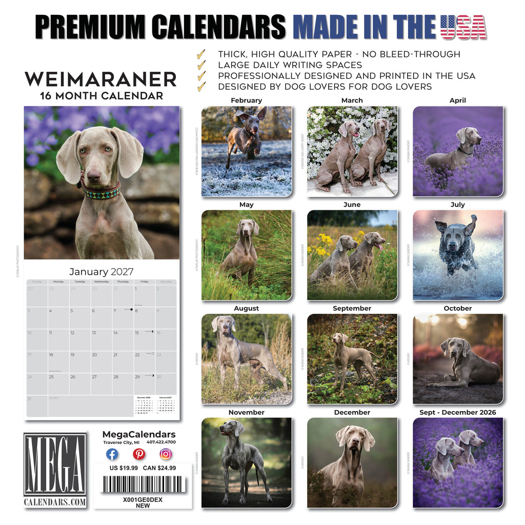 Weimaraner Wall Calendar 2027 - 12" x 12" Monthly Graceful & Athletic Grey Ghost Dog Breed Calendar