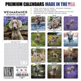 Weimaraner Wall Calendar 2027 - 12" x 12" Monthly Graceful & Athletic Grey Ghost Dog Breed Calendar
