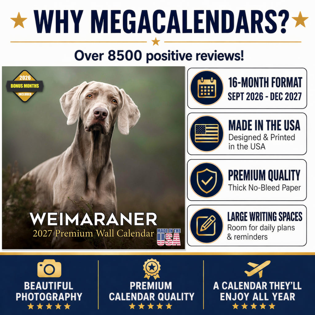 Weimaraner Wall Calendar 2027 - 12" x 12" Monthly Graceful & Athletic Grey Ghost Dog Breed Calendar