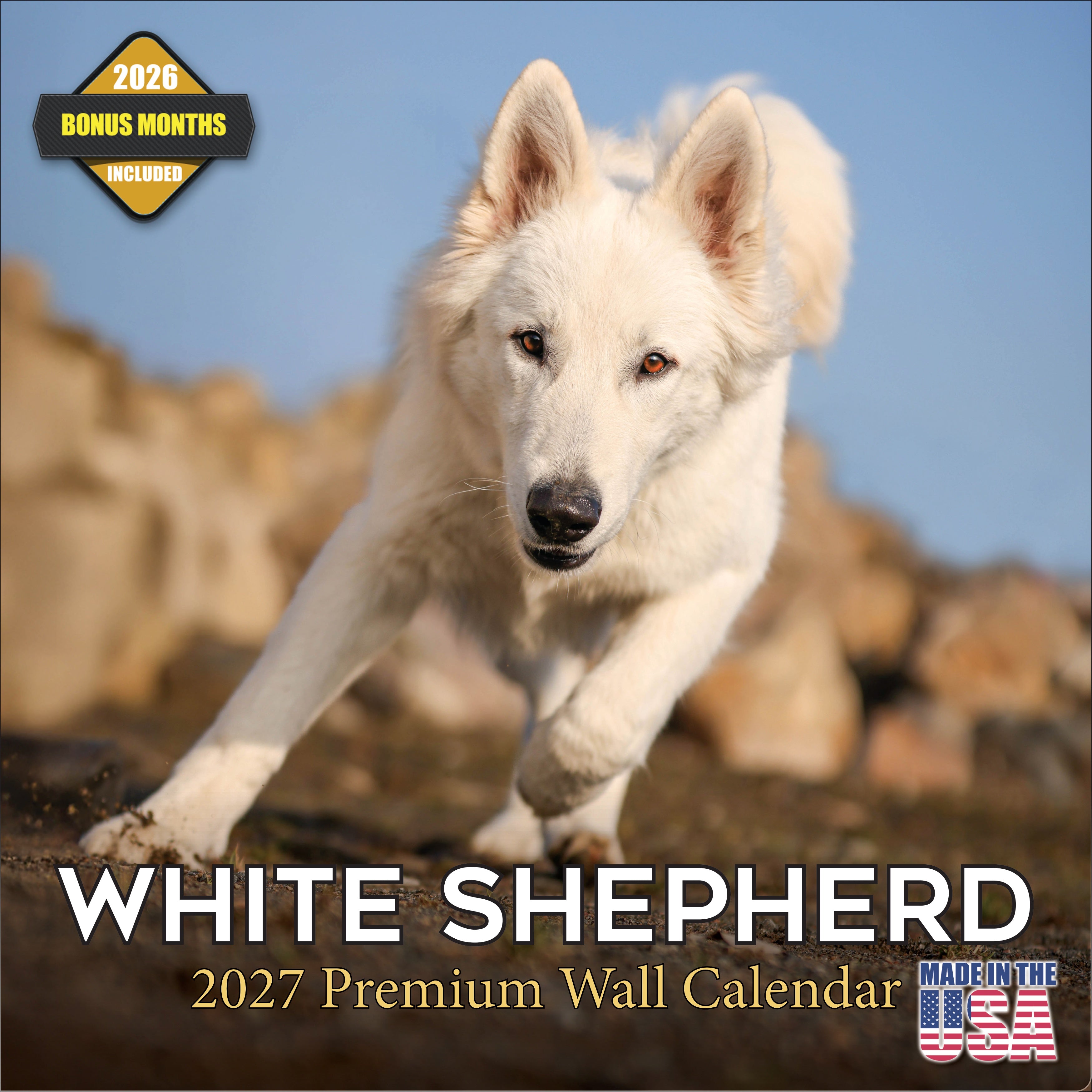 White Shepherd Wall Calendar 2027 - 12
