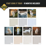 White Shepherd Wall Calendar 2027 - 12" x 12" Monthly Loyal & Noble White Shepherd Dog Breed Calendar