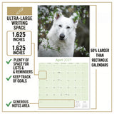 White Shepherd Wall Calendar 2027 - 12" x 12" Monthly Loyal & Noble White Shepherd Dog Breed Calendar