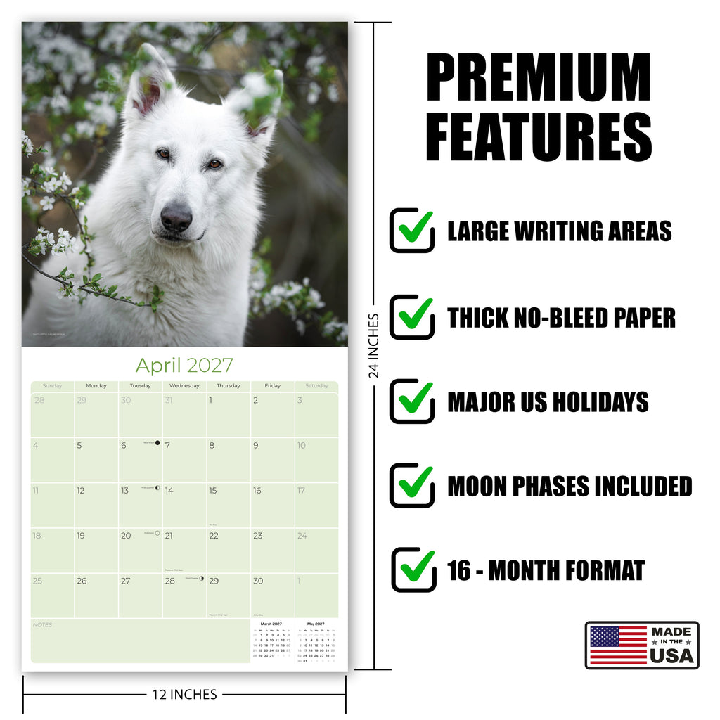 White Shepherd Wall Calendar 2027 - 12" x 12" Monthly Loyal & Noble White Shepherd Dog Breed Calendar