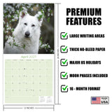 White Shepherd Wall Calendar 2027 - 12" x 12" Monthly Loyal & Noble White Shepherd Dog Breed Calendar