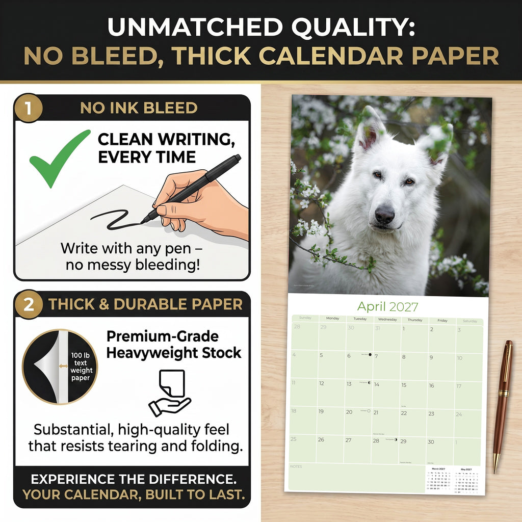 White Shepherd Wall Calendar 2027 - 12" x 12" Monthly Loyal & Noble White Shepherd Dog Breed Calendar