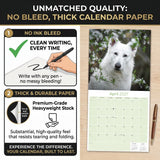 White Shepherd Wall Calendar 2027 - 12" x 12" Monthly Loyal & Noble White Shepherd Dog Breed Calendar