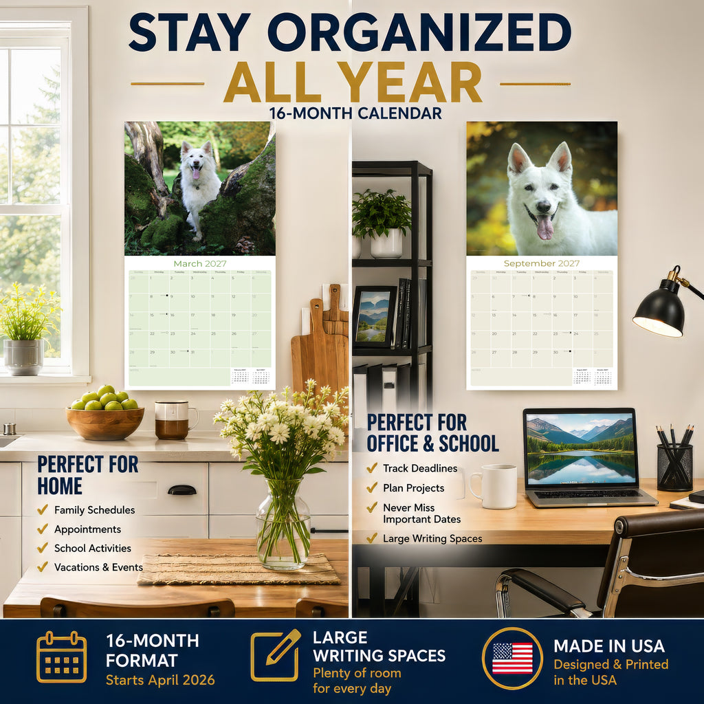 White Shepherd Wall Calendar 2027 - 12" x 12" Monthly Loyal & Noble White Shepherd Dog Breed Calendar