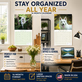 White Shepherd Wall Calendar 2027 - 12" x 12" Monthly Loyal & Noble White Shepherd Dog Breed Calendar