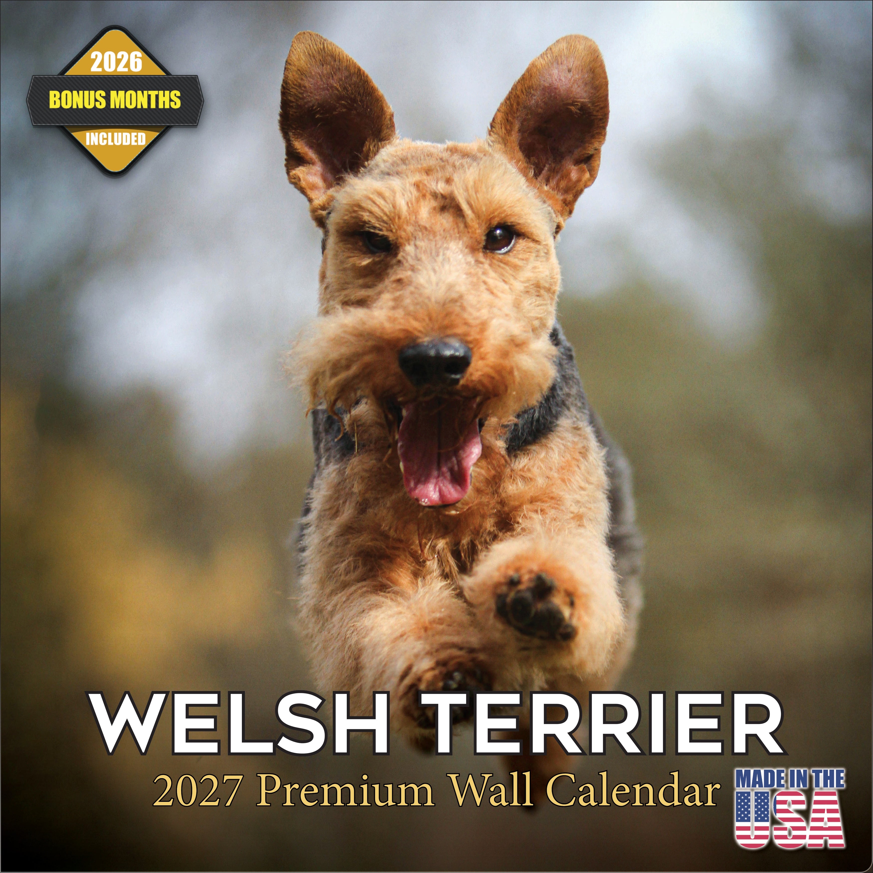 Welsh Terrier Wall Calendar 2027 - 12