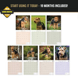 Welsh Terrier Wall Calendar 2027 - 12" x 12" Monthly Spirited & Courageous Welsh Terrier Dog Breed Calendar