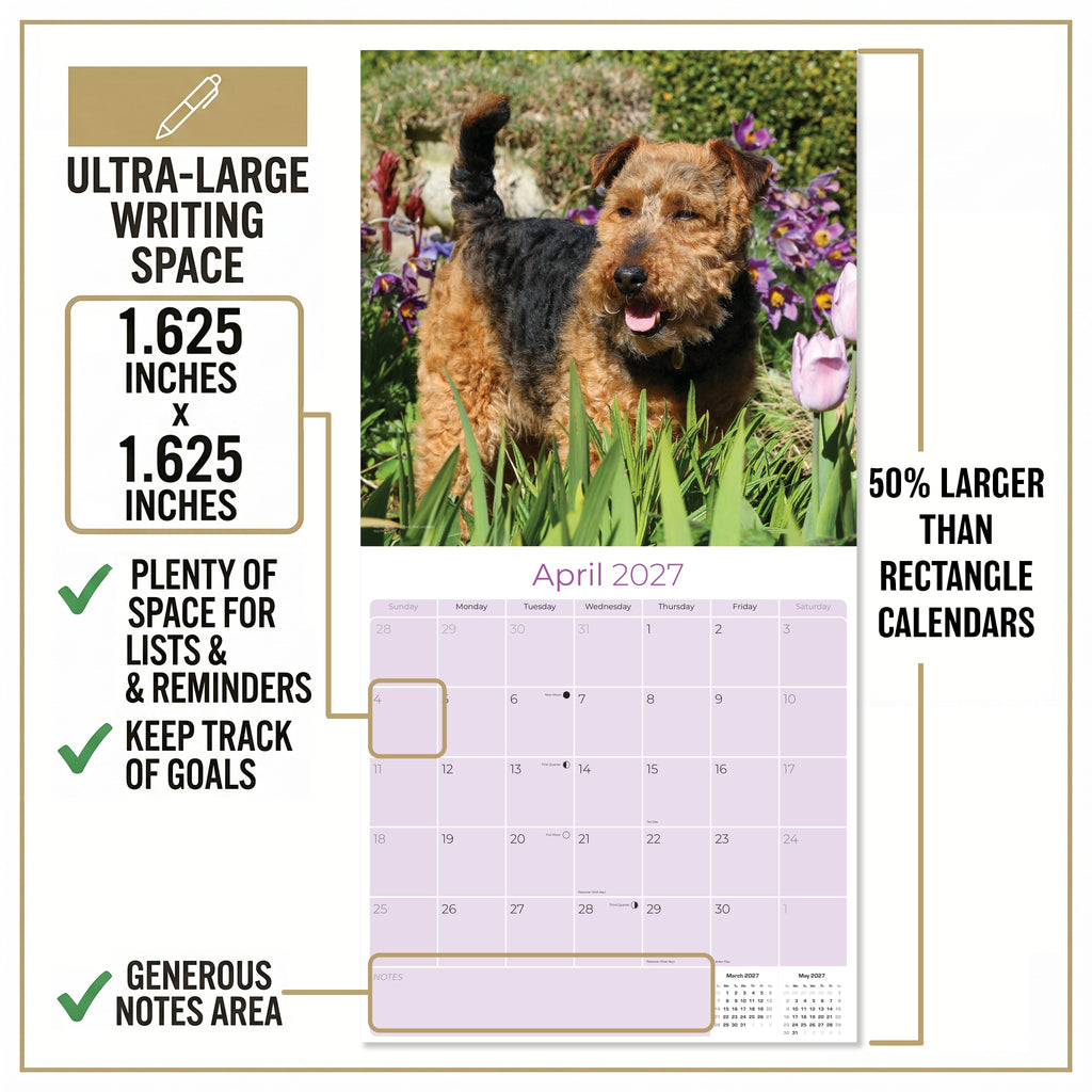 Welsh Terrier Wall Calendar 2027 - 12" x 12" Monthly Spirited & Courageous Welsh Terrier Dog Breed Calendar