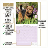 Welsh Terrier Wall Calendar 2027 - 12" x 12" Monthly Spirited & Courageous Welsh Terrier Dog Breed Calendar