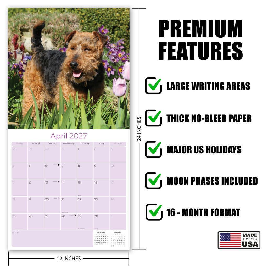 Welsh Terrier Wall Calendar 2027 - 12" x 12" Monthly Spirited & Courageous Welsh Terrier Dog Breed Calendar