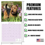 Welsh Terrier Wall Calendar 2027 - 12" x 12" Monthly Spirited & Courageous Welsh Terrier Dog Breed Calendar