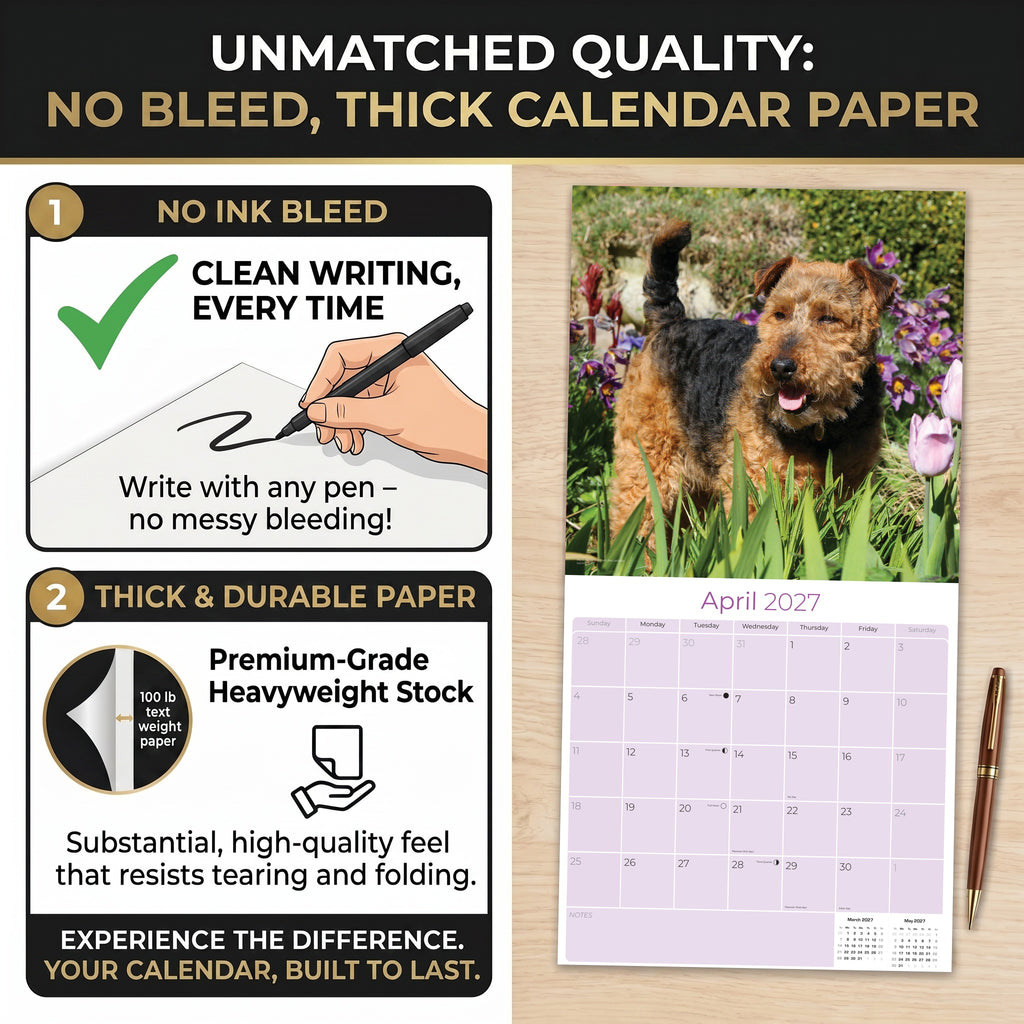 Welsh Terrier Wall Calendar 2027 - 12" x 12" Monthly Spirited & Courageous Welsh Terrier Dog Breed Calendar