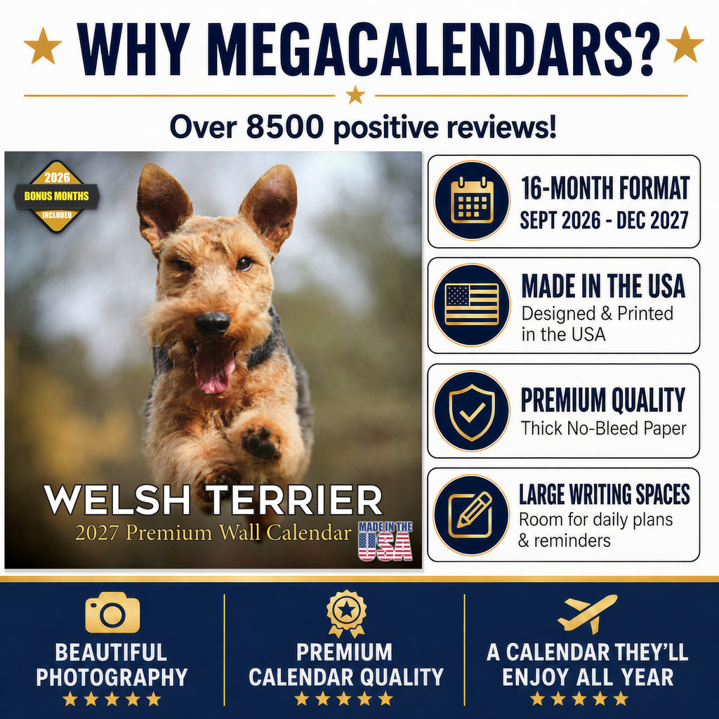Welsh Terrier Wall Calendar 2027 - 12" x 12" Monthly Spirited & Courageous Welsh Terrier Dog Breed Calendar