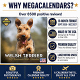 Welsh Terrier Wall Calendar 2027 - 12" x 12" Monthly Spirited & Courageous Welsh Terrier Dog Breed Calendar