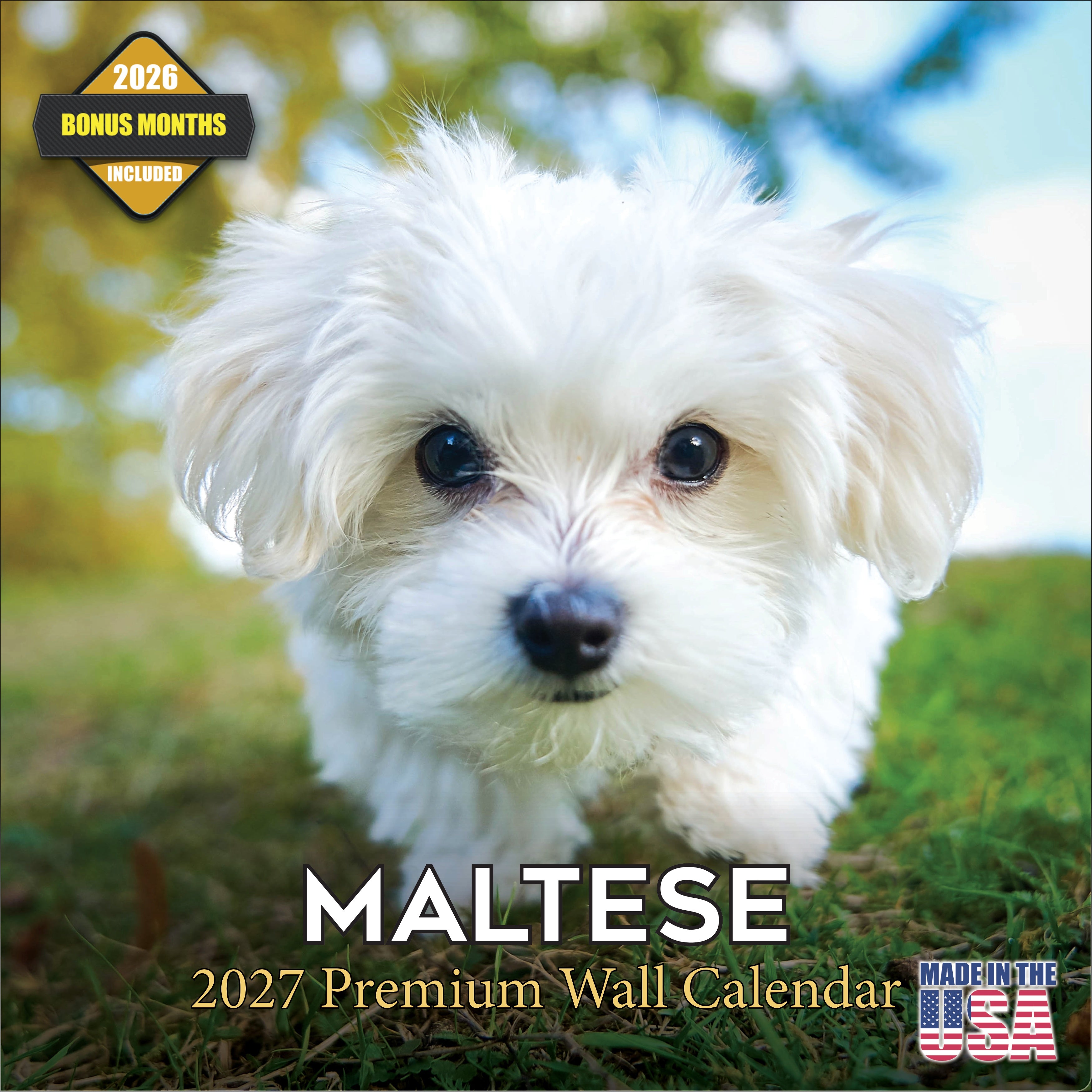 Maltese Wall Calendar 2027 - 12