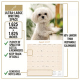 Maltese Wall Calendar 2027 - 12" x 12" Monthly Snow-White Silk Toy & Affectionate Lap Dog Calendar
