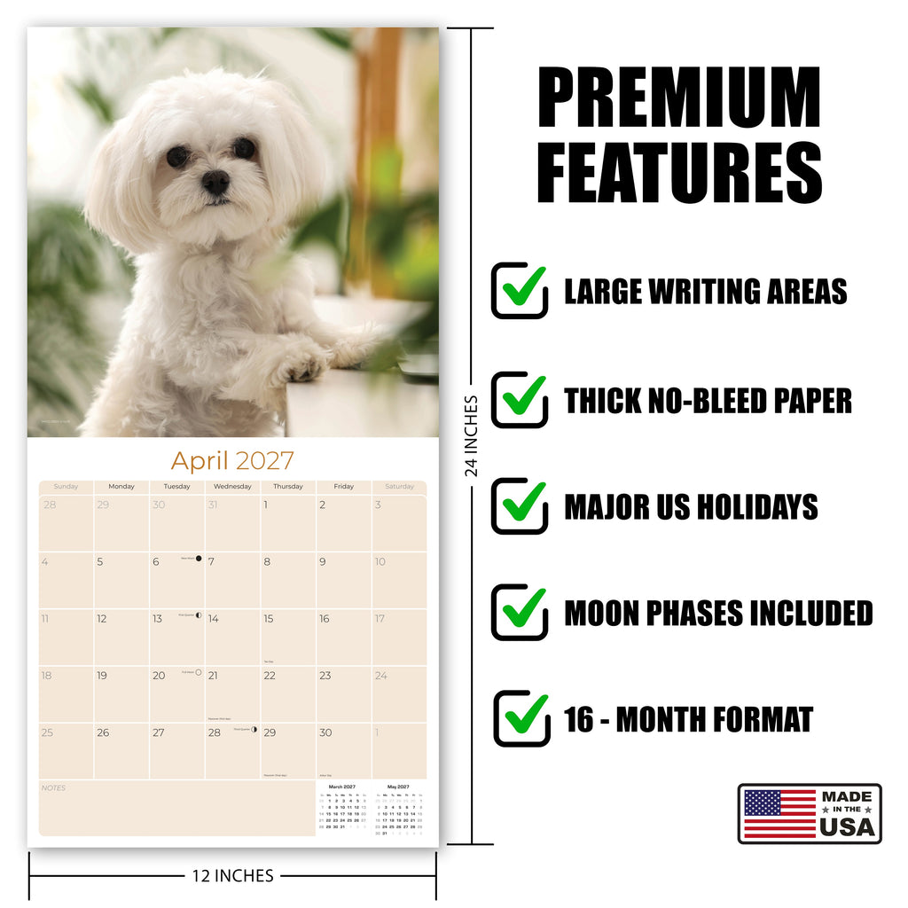 Maltese Wall Calendar 2027 - 12" x 12" Monthly Snow-White Silk Toy & Affectionate Lap Dog Calendar