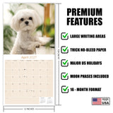 Maltese Wall Calendar 2027 - 12" x 12" Monthly Snow-White Silk Toy & Affectionate Lap Dog Calendar
